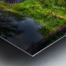 Queens Garden Reverie Metal print