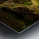 Birch Run Waterfall Metal print