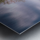 Big Brother Impression metal