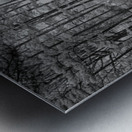 Infrared pond Gazebo Metal print