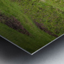 Wild Encounters: A Moment in the Wild Metal print