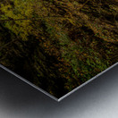 Autumn In the Gorge Metal print