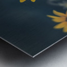 Vibrant Blooms: Full Spectrum Photography of Black-Eyed Susan Flowers in Tennessee Metal print