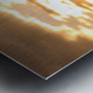 Sillouhette of Ernie Metal print