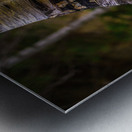 Exploring Sylvan Lake: Capturing the A Bent Aspen Metal print