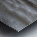 Barren Sentinel Amidst Storms Embrace Metal print