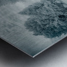 Silent Sentinels: Stonewalls Childhood Trees Metal print