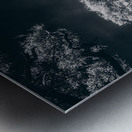 Black Bonsai:  A Botanical Marvel Unveiled on Driftwood Beach Metal print