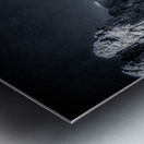 Washingtons Profile in Time Metal print