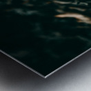 Mystical Fungi: Standing Tall The Majestic Tallish Mushroom Impression metal