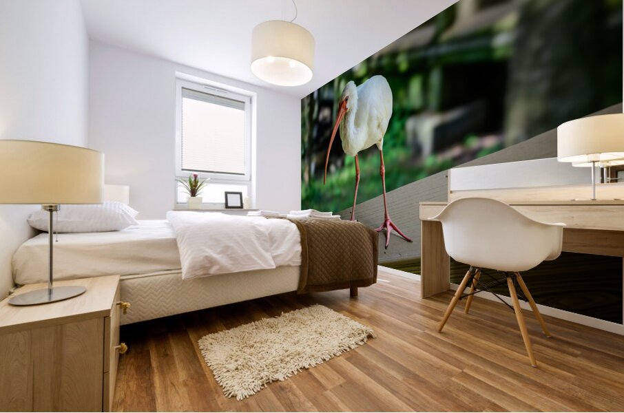 Symphony of Wings: A Birdwatchers Tale Mural print