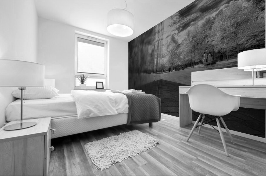 Vanishing Reflection Mural print