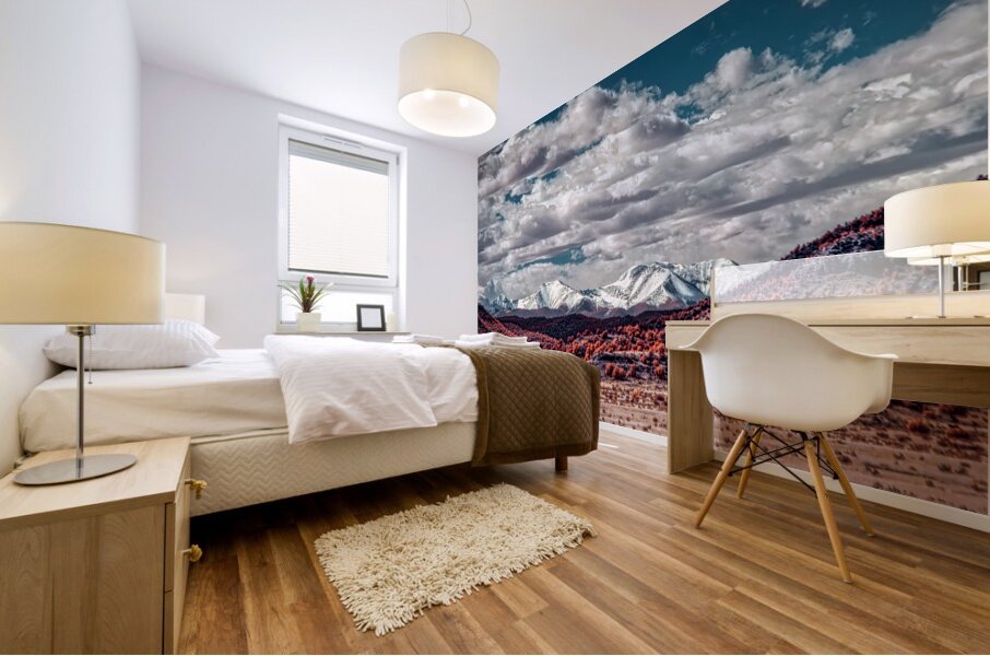 Infrared Contrast of Earth and Sky Mural print