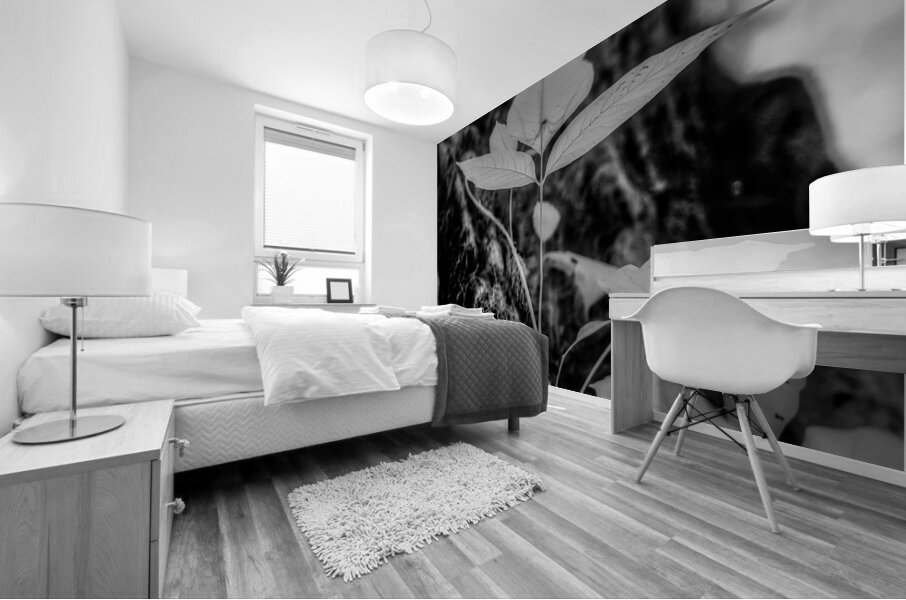 Natures Delicate Balance Mural print