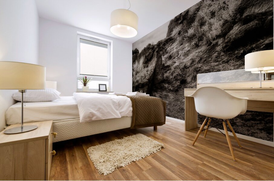 Silent Testaments of the Trail Mural print