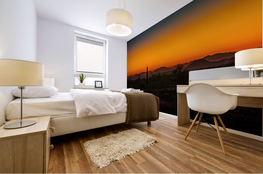 Cacti Against Painted Sky Mural print