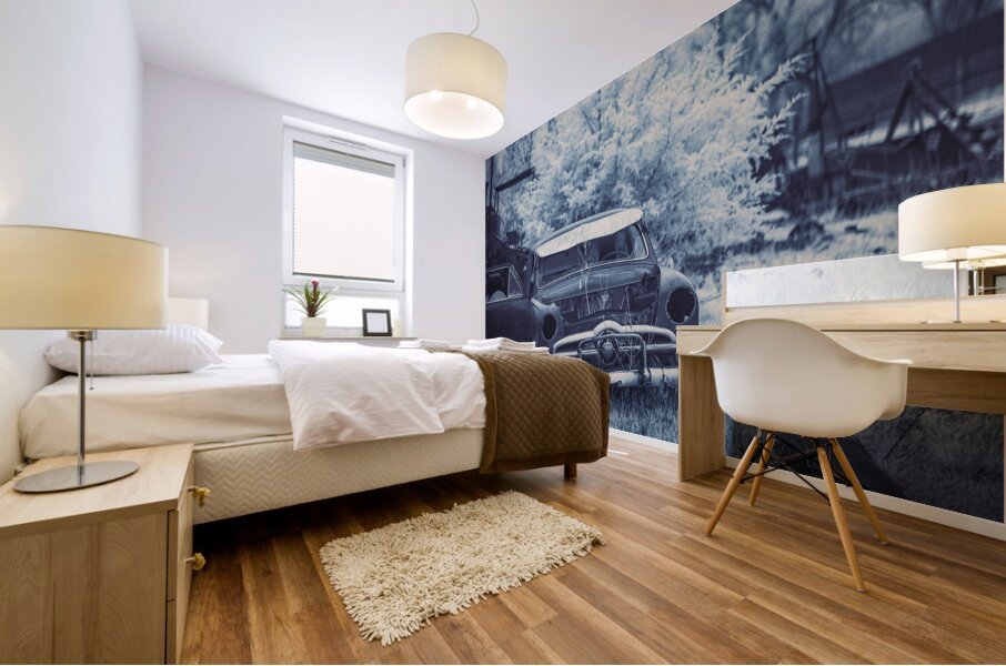 Rustic Relic   Blind Eyes Mural print