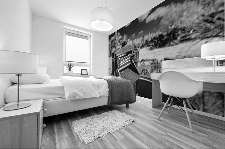 Rustic Relic   Old Washing Machine Mural print