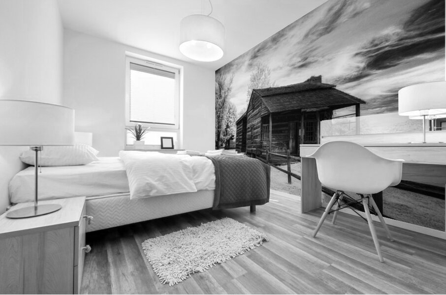 Stairway to History: Stonewalls Ascension Homestead Mural print