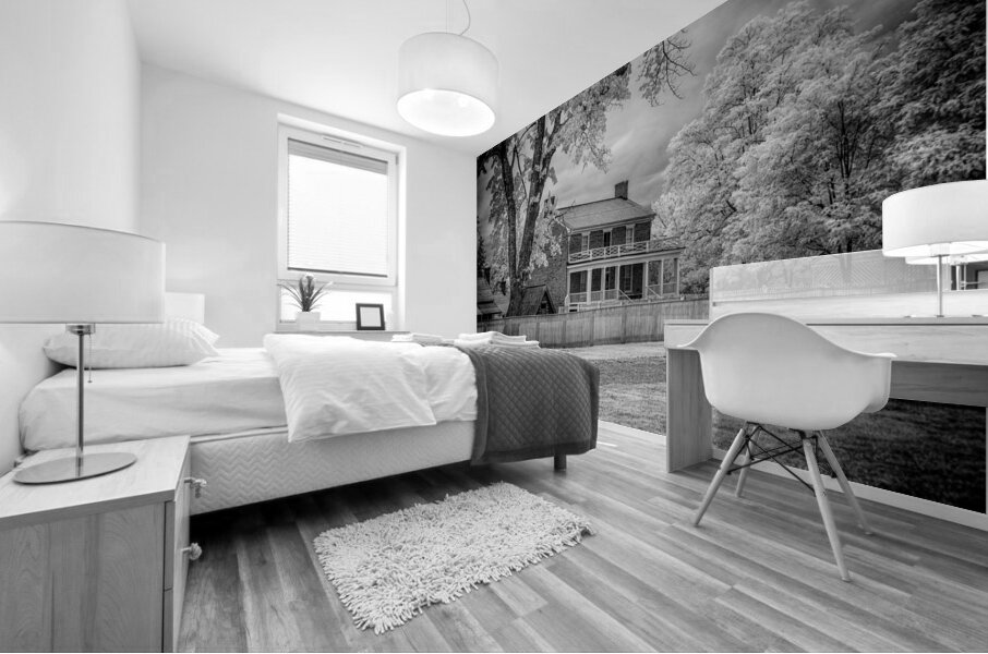 Silent Surrender: The McLean House in Appomattox Courthouse Town Mural print