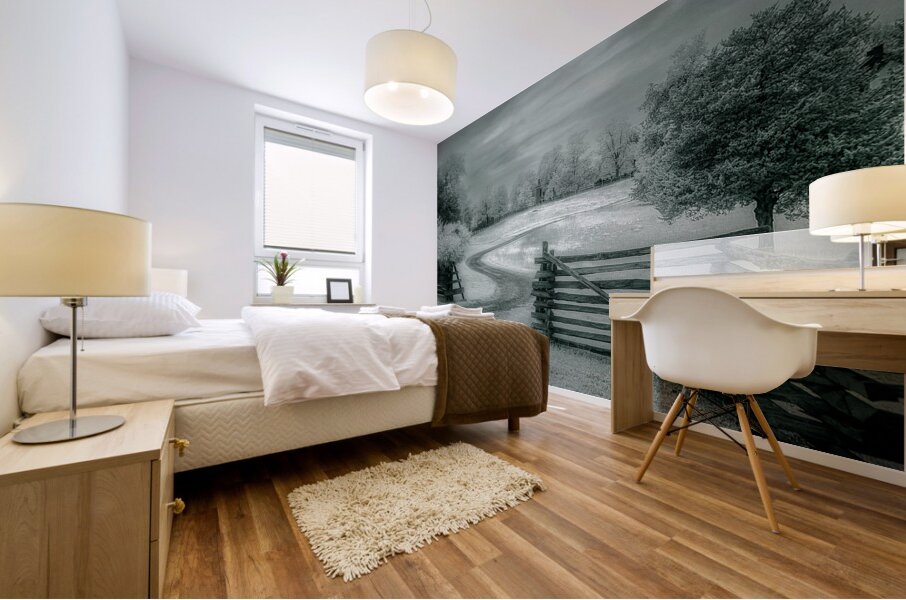 Surrenders Serenity Mural print