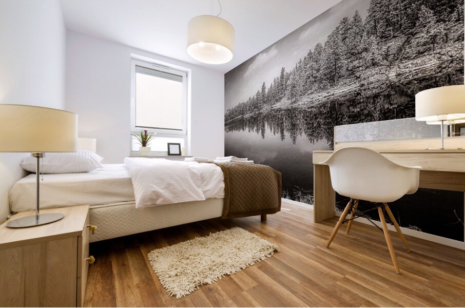 Mystical Waters: Infrared Dream at Bismarck Lake Mural print