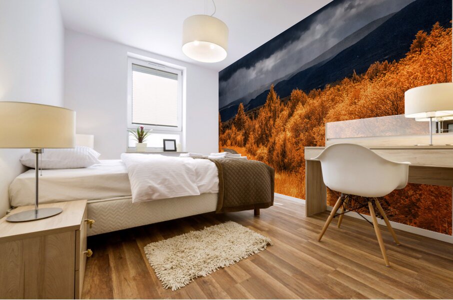 Epic Descent: Montanas Infrared Mountain Road Mural print