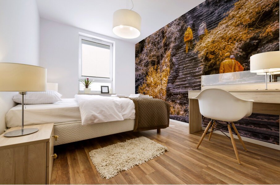 Golden Steps Ascent: A Color Infrared Symphony in Watkins Glen Mural print