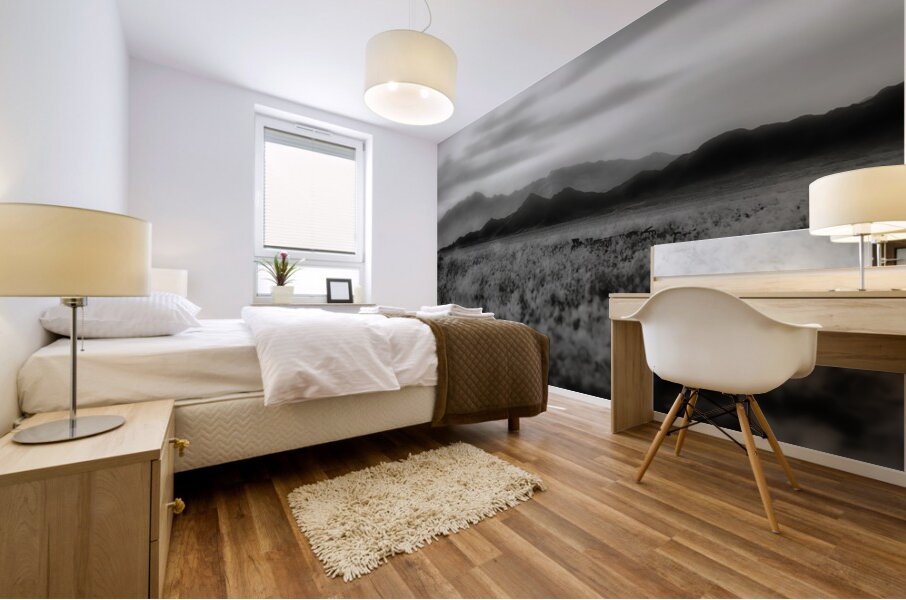 Waves of Solitude Across the Arid Horizon Mural print