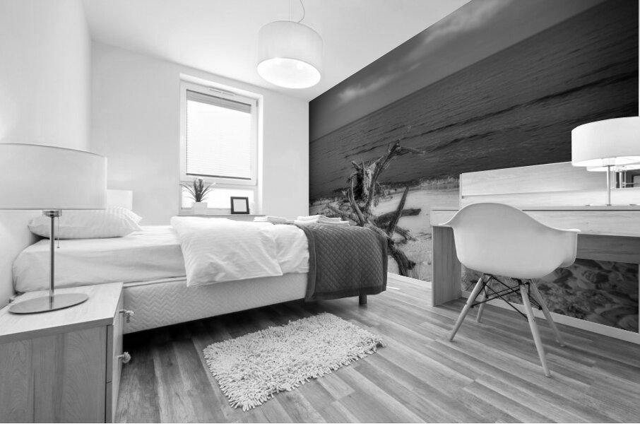 Driftwood Dreams: Bald Point State Park Mural print