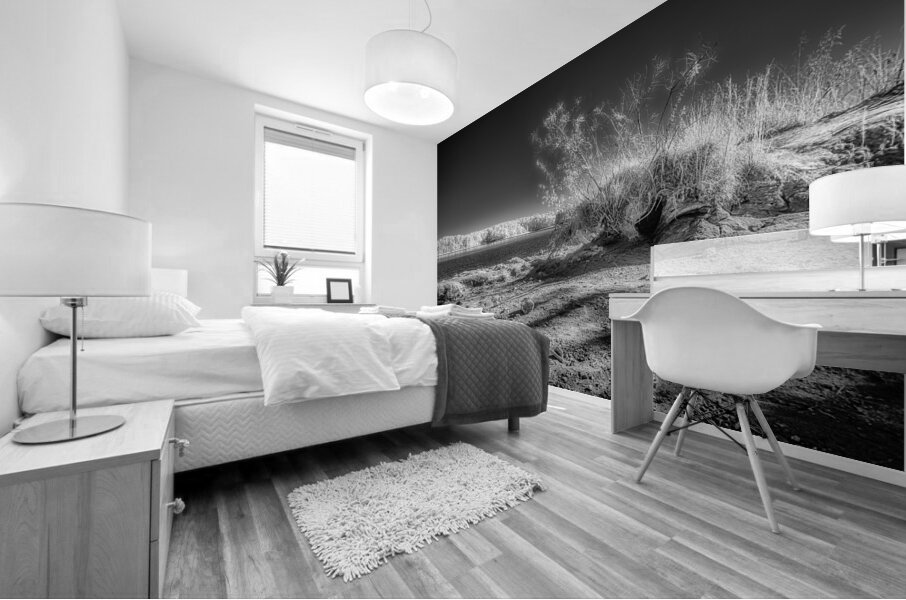 Ethereal Odyssey: Another World at Wind Creek State Park Alabam Mural print