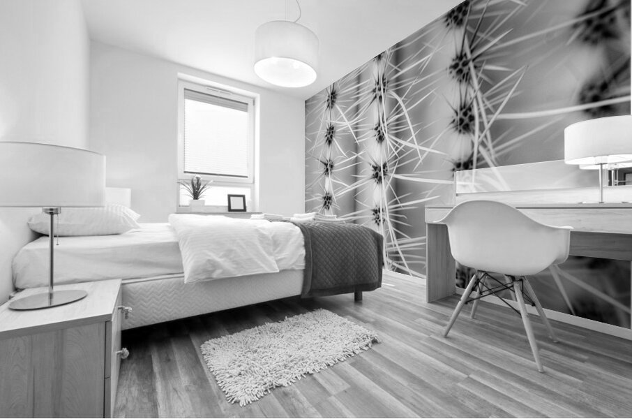 Symmetry in Spine Mural print