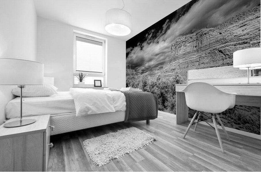 Desert Majesties in Monochrome Mural print