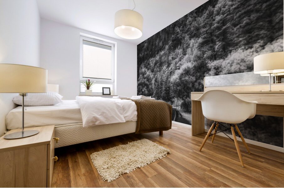 Shadowed Path to Tranquil Peaks Mural print