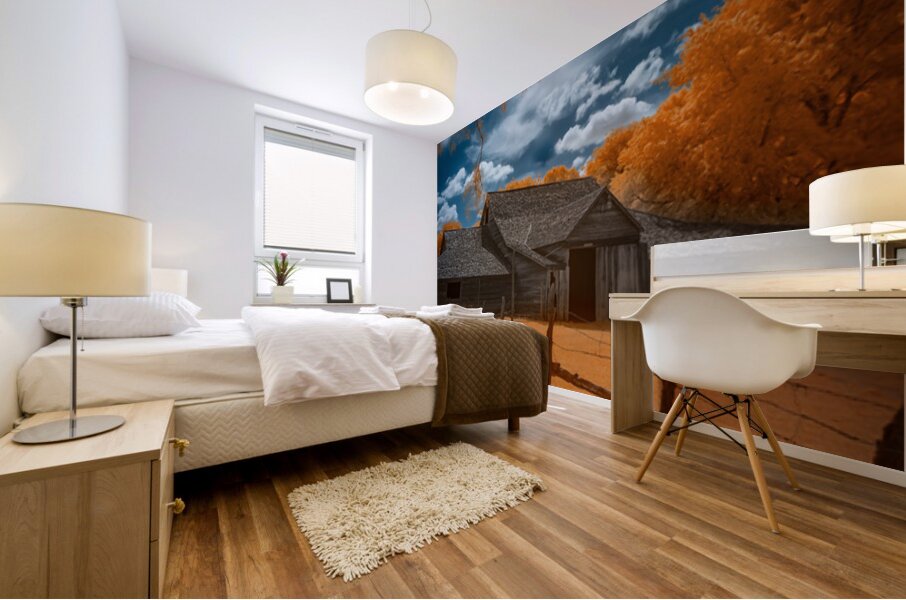 Barn of Timeless Dreams Mural print