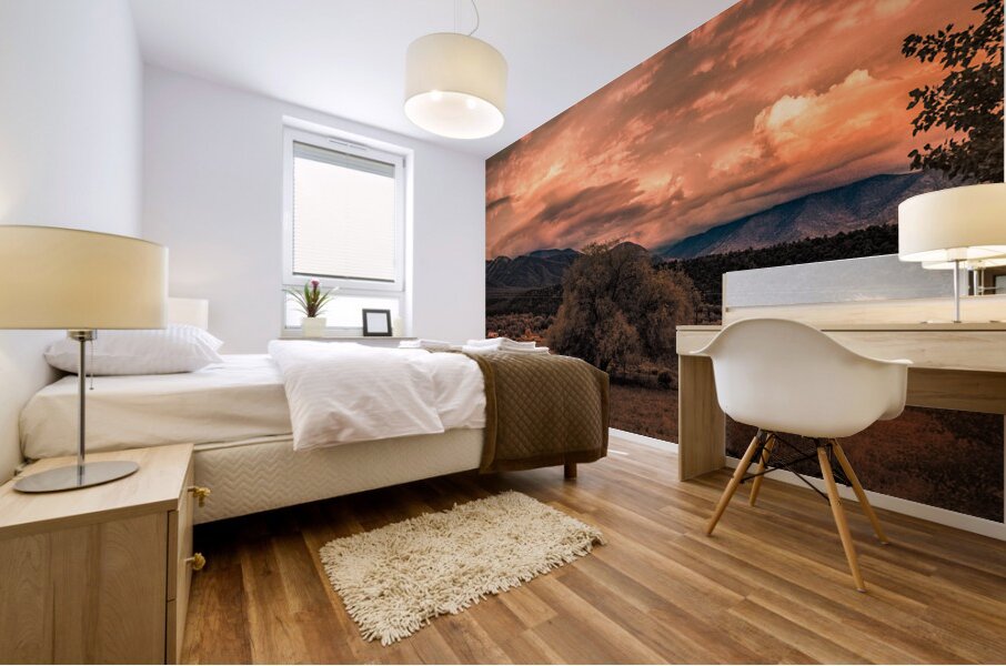 Solitary Vigil in a Fiery Twilight Mural print