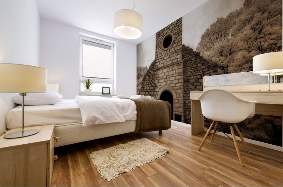 Stone Guardian of Forgotten Eras Mural print