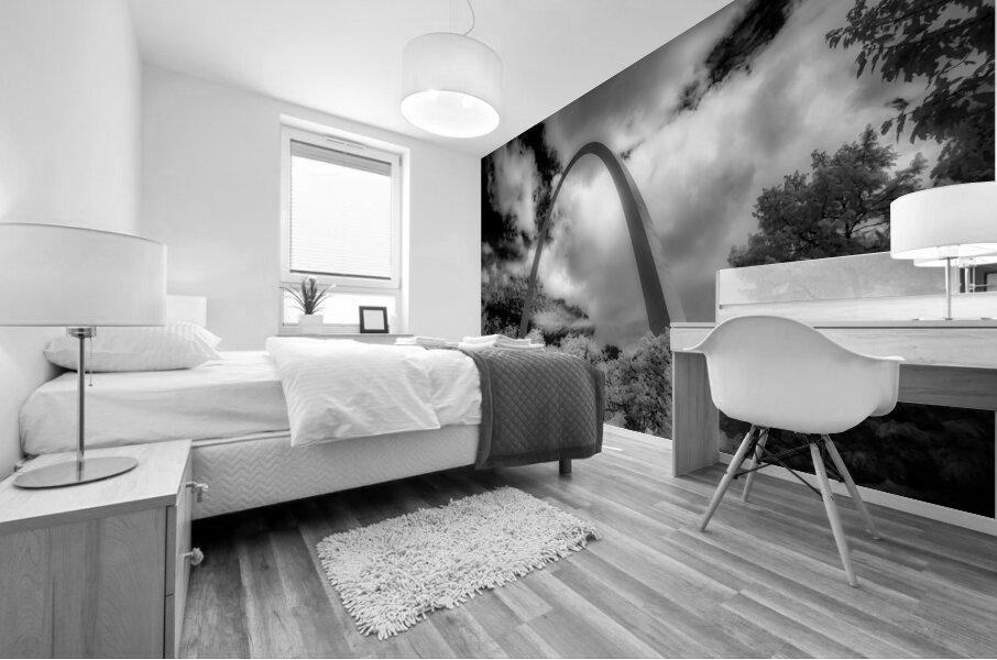 Infinite Curves in Saint Louis Mural print