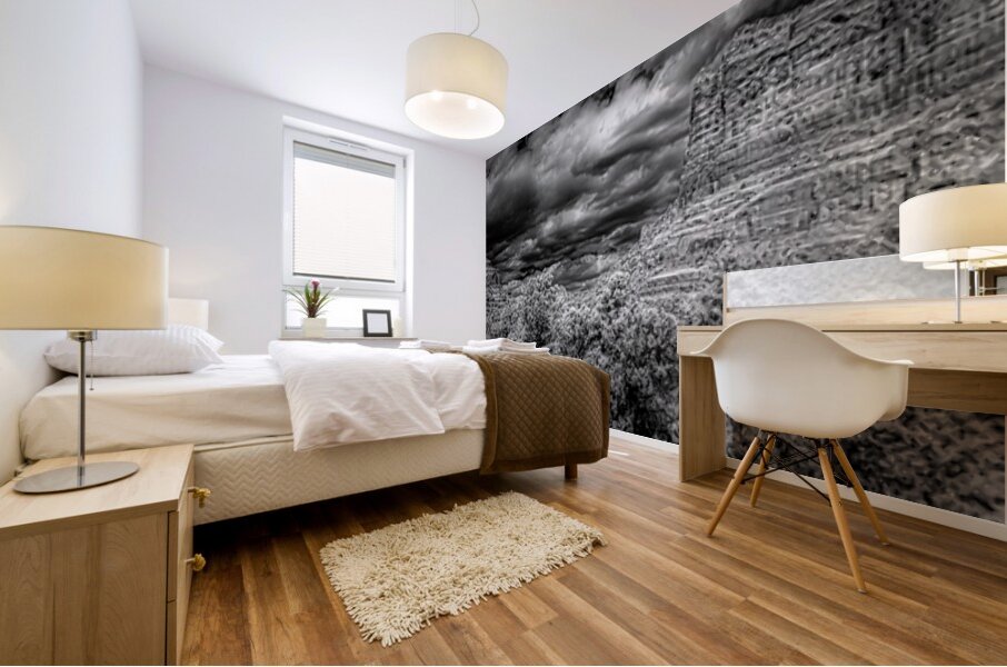 Desert Majesties in Monochrome Mural print