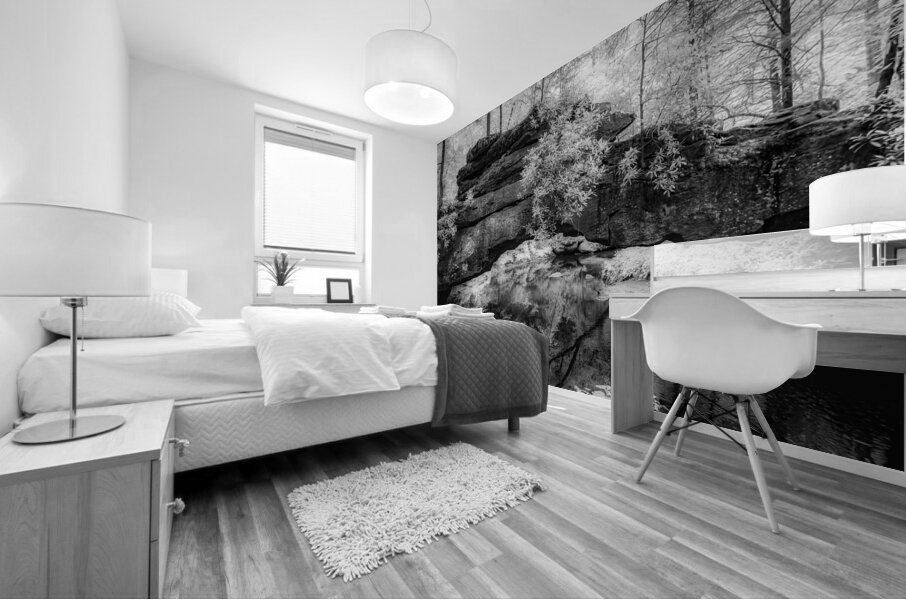 Rocky Tranquility: Natural Bridge Kentucky Mural print