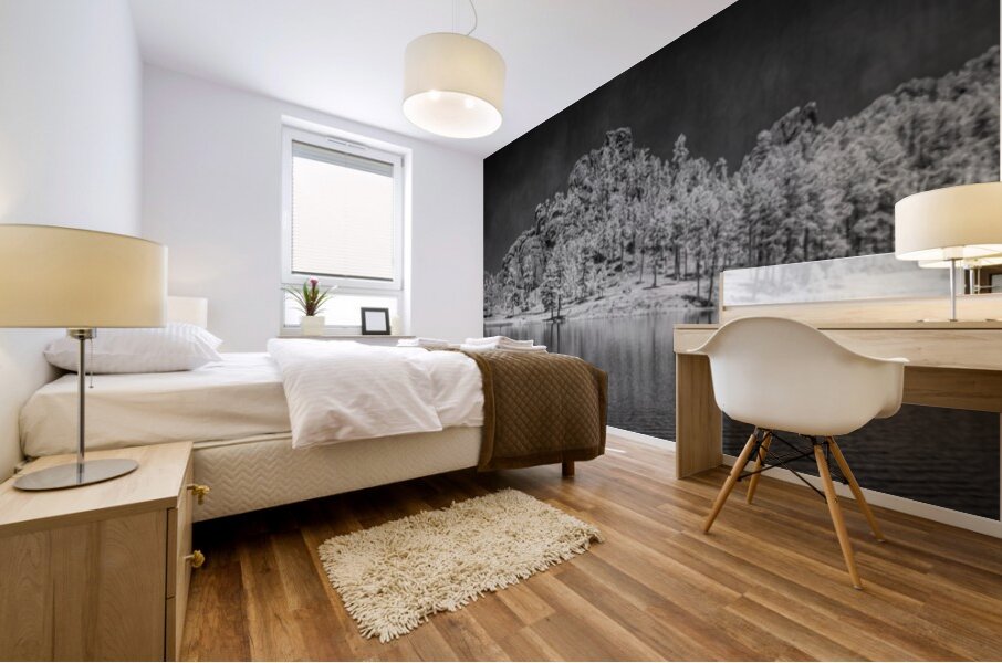 Mystic Shores: A Sylvan Lake Symphony Mural print