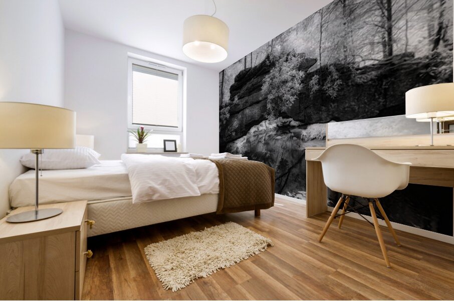 Rocky Tranquility: Natural Bridge Kentucky Mural print