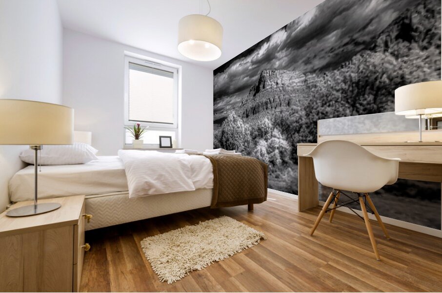 Timeless Elegance of Deserted Peaks Mural print
