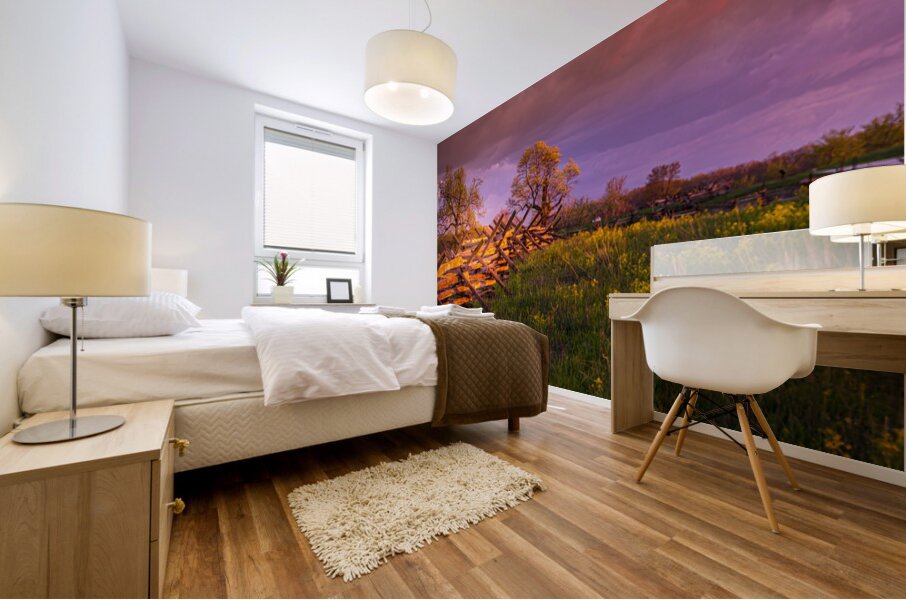 Sunset Fence Mural print