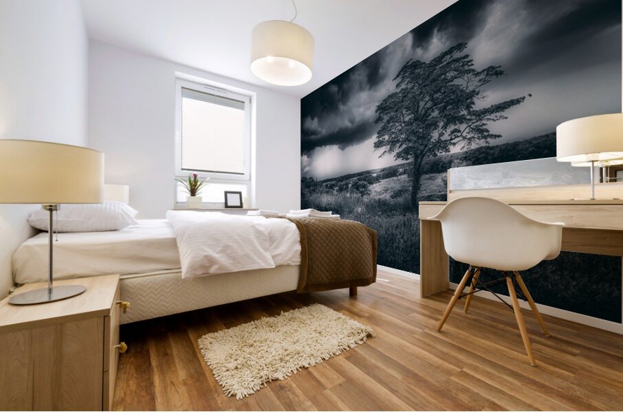 Storm Watch at Little Round Top Mural print