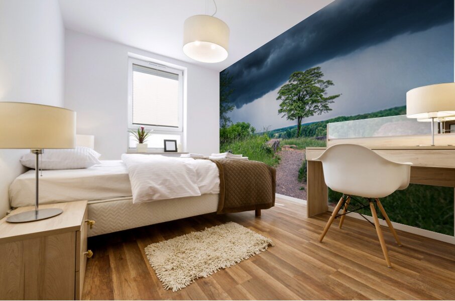 Solitude and Serenity: A Hike through Little Round Tops Enchante Mural print