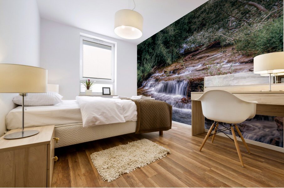 Tranquil Cascades: A Quaint Ducks Tale Upstream from Niagara Falls Mural print