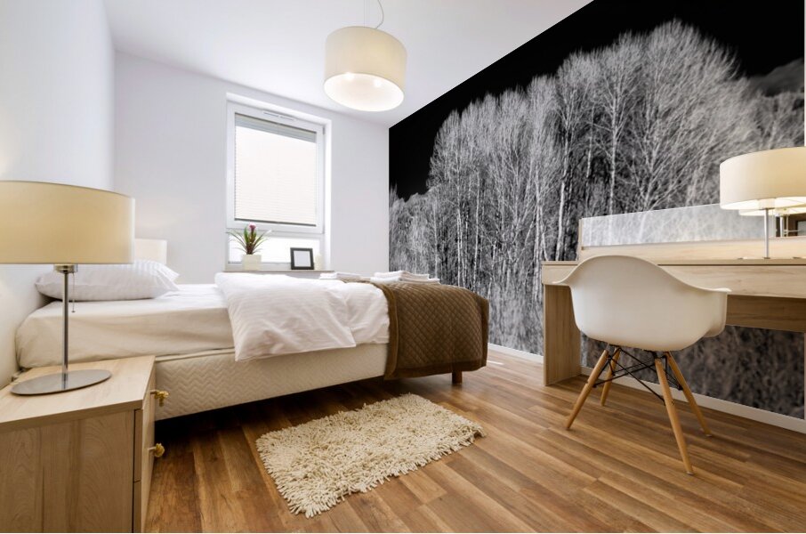 Winters Light Dancers Mural print