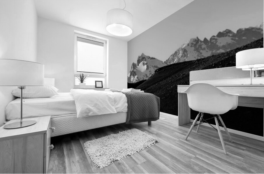 Tetons Dark Prelude Mural print