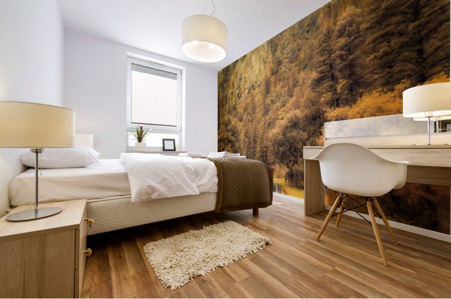 Reflections of a Rain Kissed Road Mural print